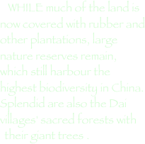 WHILE much of the land is now covered with rubber and other plantations, large nature reserves remain, which still harbour the highest biodiversity in China. Splendid are also the Dai villages' sacred forests with their giant trees .